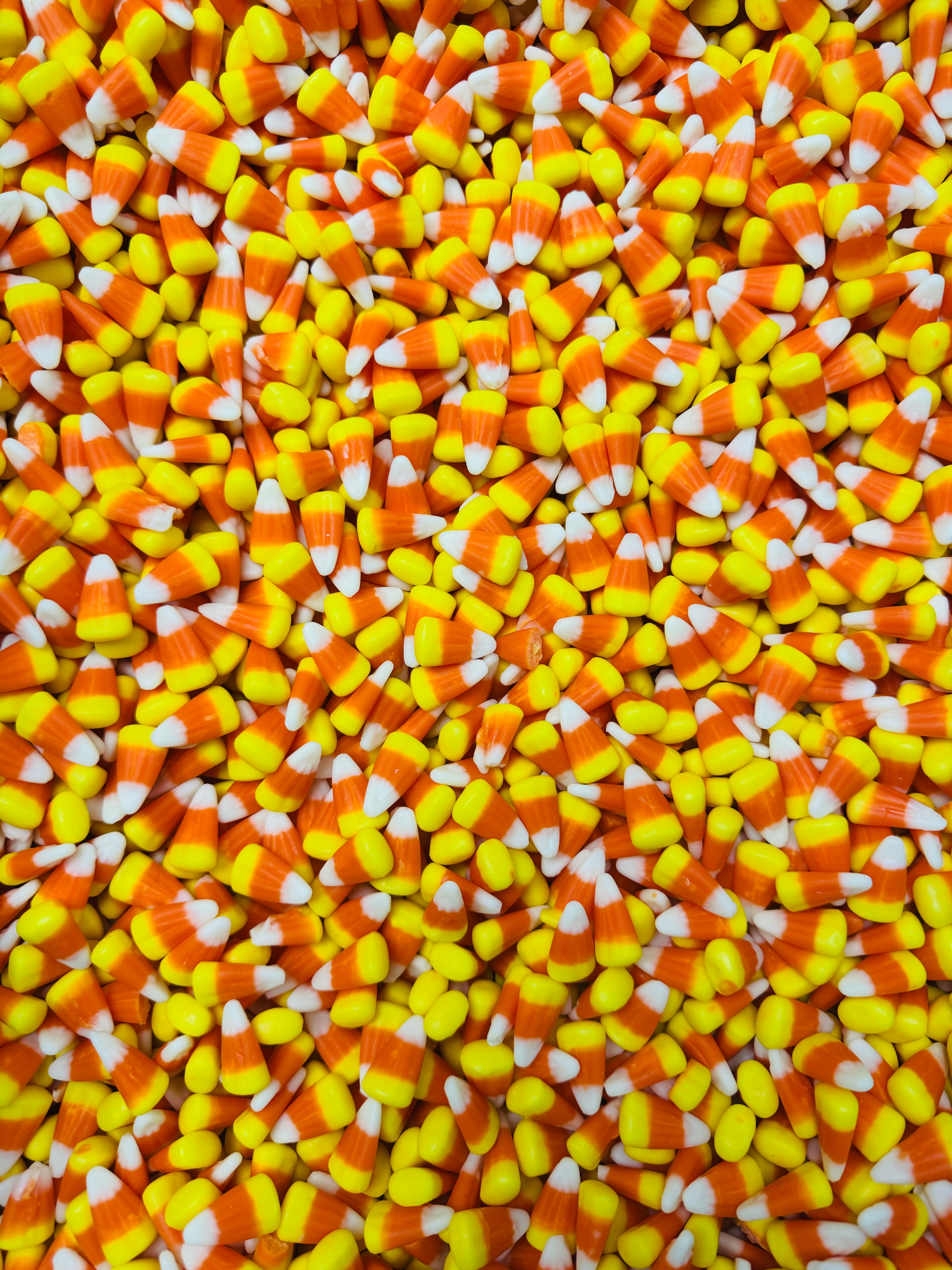 Fall collection 🍂